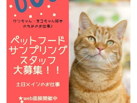 愛知県名古屋市昭和区ペットショップ 単発1日だけ ペット関連商品の推奨販売 サンプリングの募集詳細