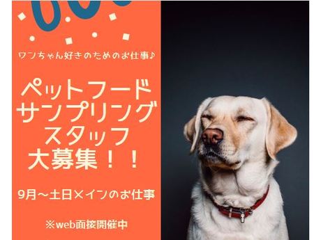 山梨県中巨摩郡ペットショップ 単発1日だけ ペット関連商品の推奨販売 サンプリングの募集詳細